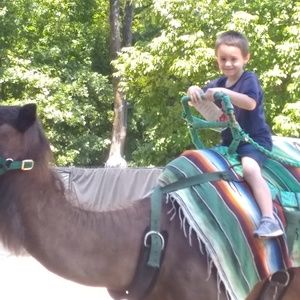 Meet your Posher, Luke